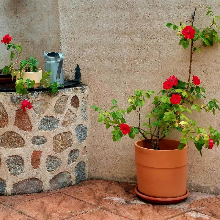 Casa Rural Abuela Reme El Fresno Exteriér fotografie